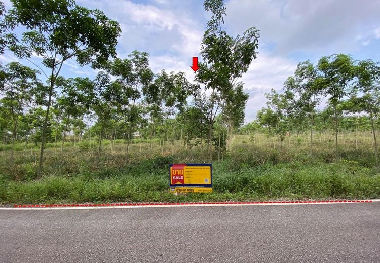 ใช่ 💖 ที่ดิน แกลง ราคาพิเศษ! 💖