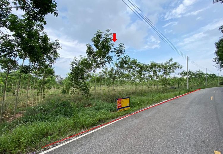 ใช่ 💖 ที่ดิน แกลง ราคาพิเศษ! 💖 รูปที่ 3