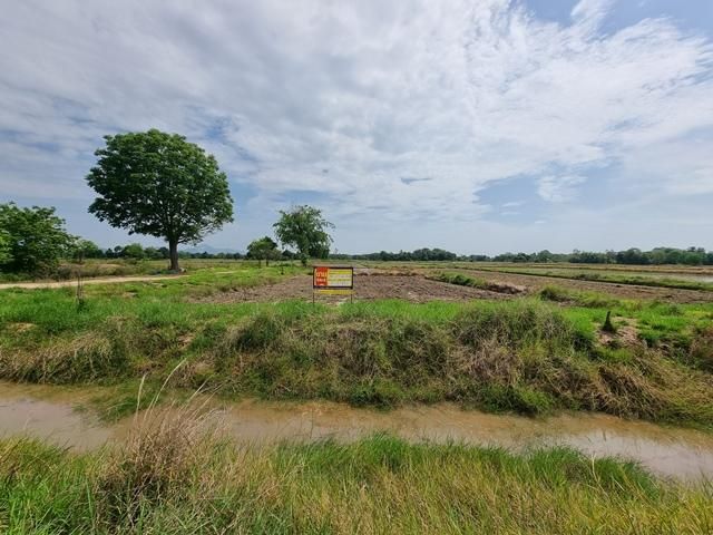 💖 ที่ดิน เมืองอุทัยธานี ราคาพิเศษ! 💖