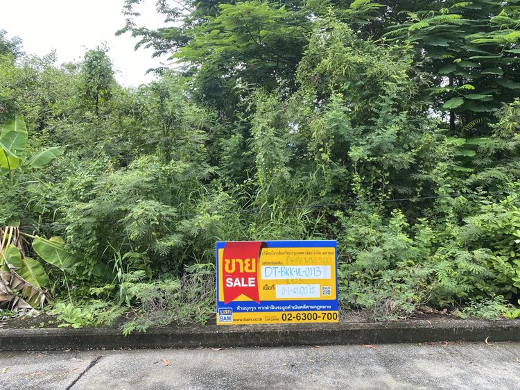 ใช่ 💖 ที่ดิน ลาดกระบัง ราคาพิเศษ! 💖 รูปที่ 2