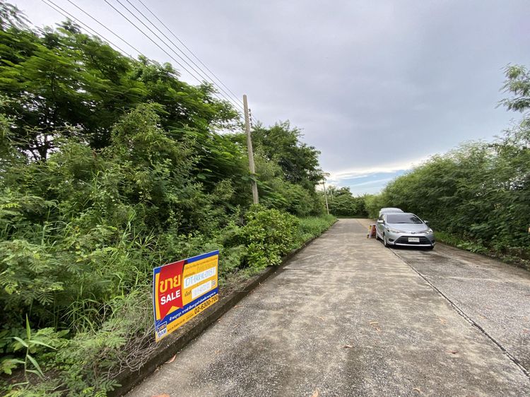 ใช่ 💖 ที่ดิน ลาดกระบัง ราคาพิเศษ! 💖 รูปที่ 4