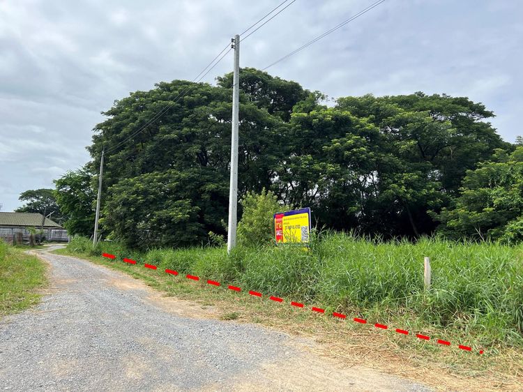 💖 ที่ดิน นครชัยศรี ราคาพิเศษ! 💖