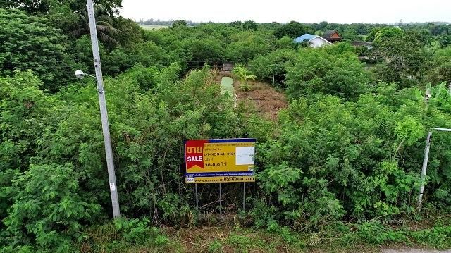 💖 ที่ดิน ไทรน้อย ราคาพิเศษ! 💖