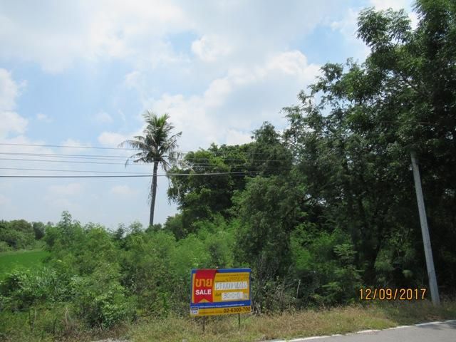 ใช่ 💖 ที่ดิน ไทรน้อย ราคาพิเศษ! 💖 รูปที่ 4