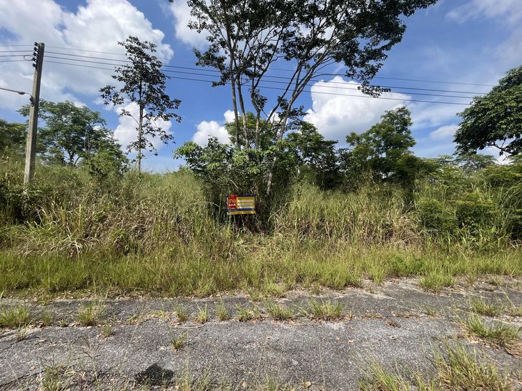 💟 ที่ดินเปล่า โครงการวังน้ำเขียววิว นครราชสีมา 💟