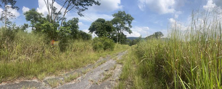 ใช่ 💟 ที่ดินเปล่า โครงการวังน้ำเขียววิว นครราชสีมา 💟 รูปที่ 3