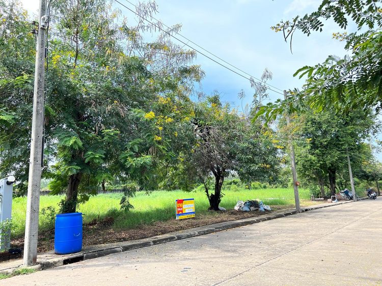 ใช่ 💖 ที่ดิน สามโคก ราคาพิเศษ! 💖 รูปที่ 3