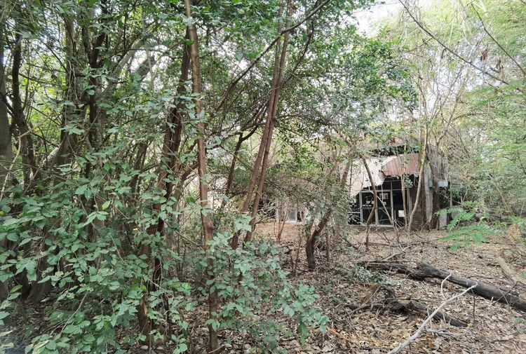 āđāļāđ ð āļāļĩāđāļāļīāļ āđāļĄāļ·āļāļāļŠāļļāļāļĢāļĢāļāļāļļāļĢāļĩ āļĢāļēāļāļēāļāļīāđāļĻāļĐ! ð āļĢāļđāļāļāļĩāđ 2