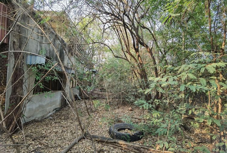 ใช่ 💖 ที่ดิน เมืองสุพรรณบุรี ราคาพิเศษ! 💖