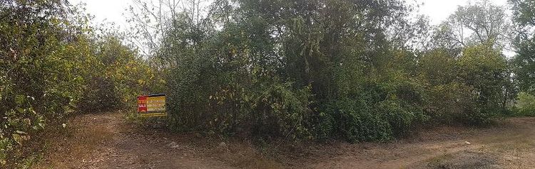 ใช่ 💖 ที่ดิน เมืองอุดรธานี ราคาพิเศษ! 💖 รูปที่ 2