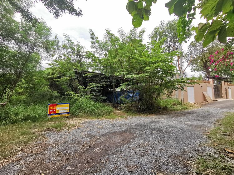 ใช่ 💖 ที่ดิน บางบอน ราคาพิเศษ! 💖 รูปที่ 4