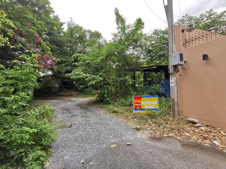 āđāļāđ ð āļāļĩāđāļāļīāļ āļāļēāļāļāļāļ āļĢāļēāļāļēāļāļīāđāļĻāļĐ! ð āļĢāļđāļāļāļĩāđ 3