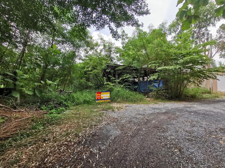 💖 ที่ดิน บางบอน ราคาพิเศษ! 💖