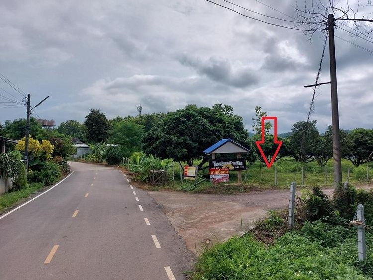 ใช่ 💖 ที่ดิน งาว ราคาพิเศษ! 💖 รูปที่ 2