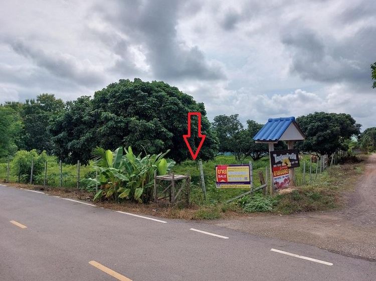 💖 ที่ดิน งาว ราคาพิเศษ! 💖