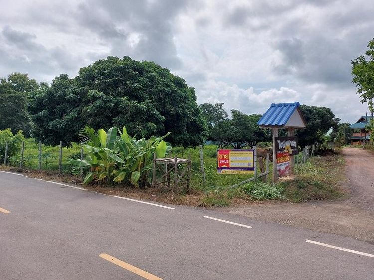 ใช่ 💖 ที่ดิน งาว ราคาพิเศษ! 💖 รูปที่ 4