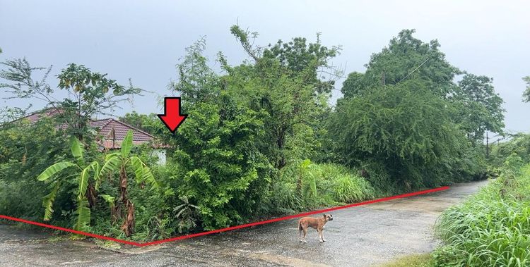 ใช่ 💖 ที่ดิน หนองเสือ ราคาพิเศษ! 💖 รูปที่ 4