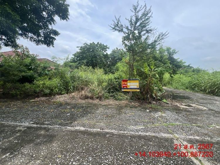 💖 ที่ดิน หนองเสือ ราคาพิเศษ! 💖