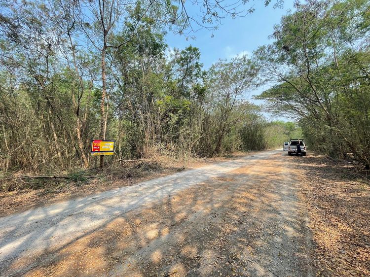 💖 ที่ดิน บางไทร ราคาพิเศษ! 💖