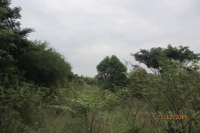 💖 ที่ดิน มีนบุรี ราคาพิเศษ! 💖