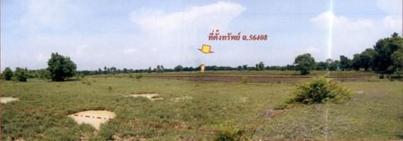 ใช่ 💖 ที่ดิน นางรอง ราคาพิเศษ! 💖 รูปที่ 4