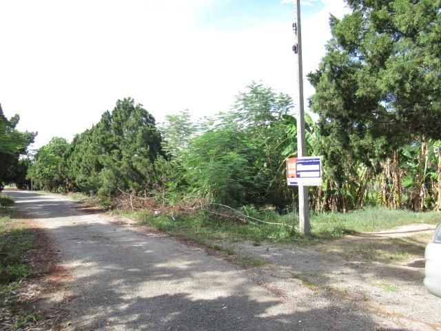 💖 ที่ดิน สันทราย ราคาพิเศษ! 💖