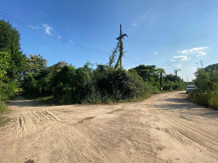 ใช่ 💖 ที่ดิน ดอยหล่อ ราคาพิเศษ! 💖 รูปที่ 4