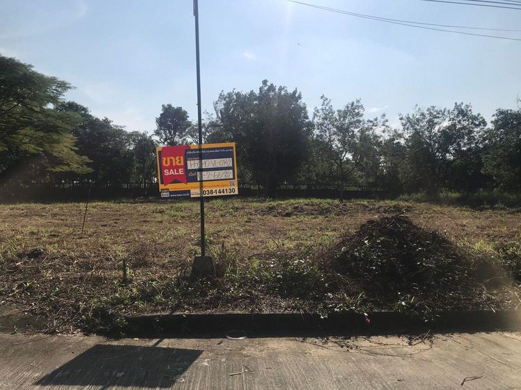 💖 ที่ดิน บางละมุง ราคาพิเศษ! 💖