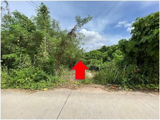 💖 ที่ดิน ศรีราชา ราคาพิเศษ! 💖