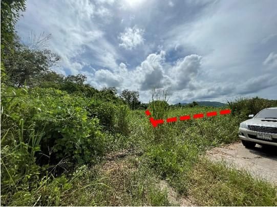 ใช่ 💖 ที่ดิน ศรีราชา ราคาพิเศษ! 💖 รูปที่ 2