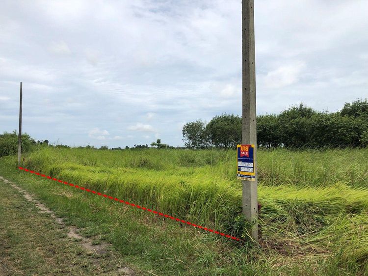 💖 ที่ดิน ศรีราชา ราคาพิเศษ! 💖