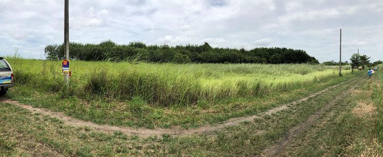 ใช่ 💖 ที่ดิน ศรีราชา ราคาพิเศษ! 💖 รูปที่ 3