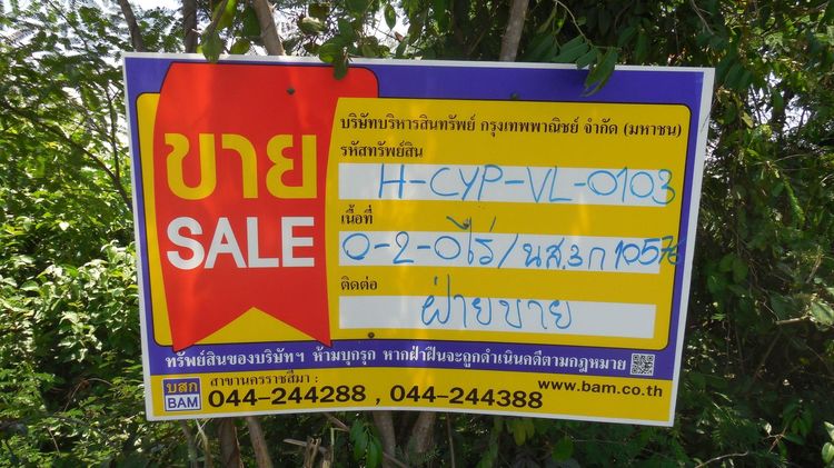 ใช่ 💖 ที่ดิน ภูเขียว ราคาพิเศษ! 💖 รูปที่ 2