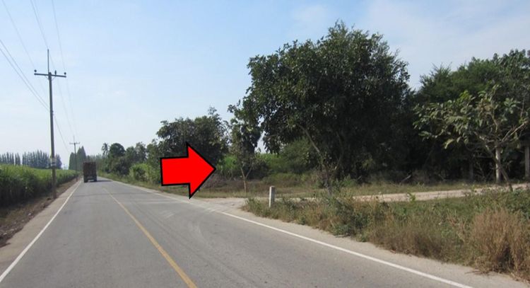 ใช่ 💖 ที่ดิน ท่าม่วง ราคาพิเศษ! 💖 รูปที่ 2