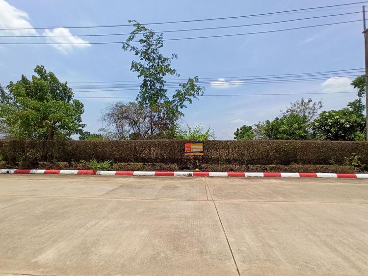 ใช่ 💖 ที่ดิน ห้วยกระเจา ราคาพิเศษ! 💖 รูปที่ 2