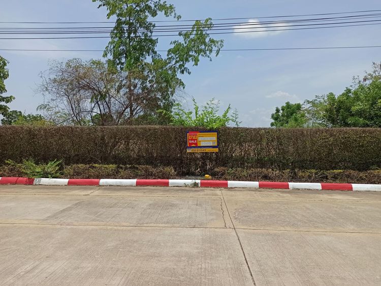 💖 ที่ดิน ห้วยกระเจา ราคาพิเศษ! 💖