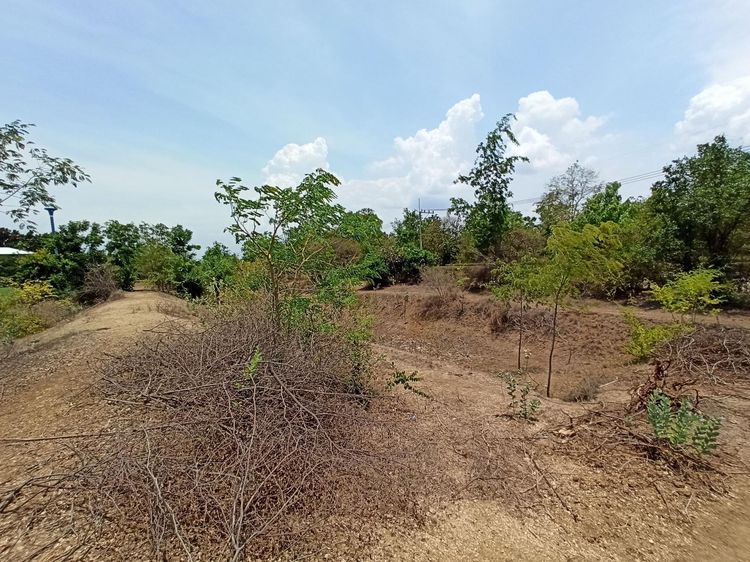 ใช่ 💖 ที่ดิน ห้วยกระเจา ราคาพิเศษ! 💖 รูปที่ 3