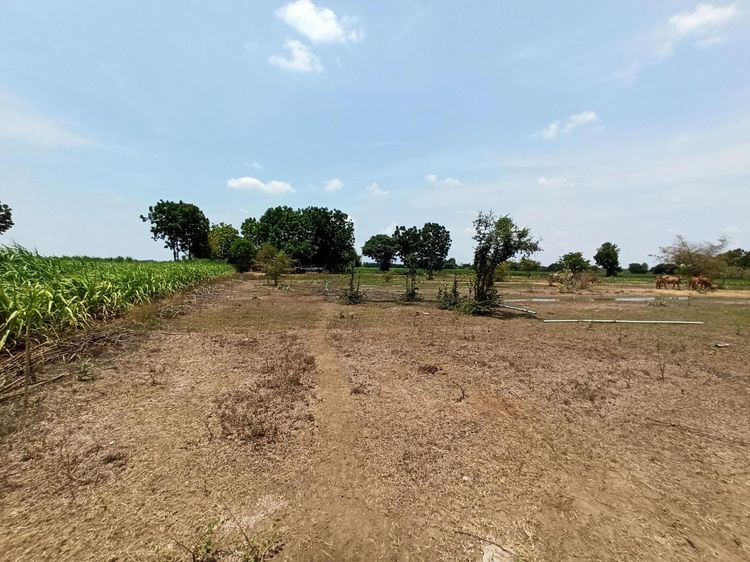 ใช่ 💖 ที่ดิน ห้วยกระเจา ราคาพิเศษ! 💖 รูปที่ 4