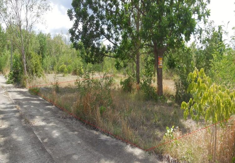 ใช่ 💖 ที่ดิน ชุมแพ ราคาพิเศษ! 💖 รูปที่ 3