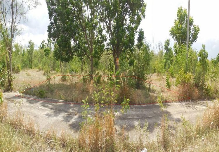 💖 ที่ดิน ชุมแพ ราคาพิเศษ! 💖