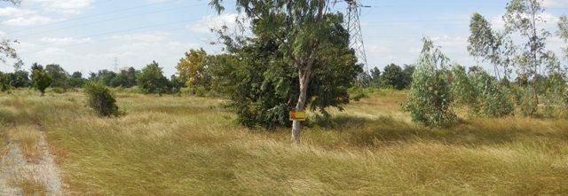 ใช่ 💖 ที่ดิน เมืองขอนแก่น ราคาพิเศษ! 💖 รูปที่ 2