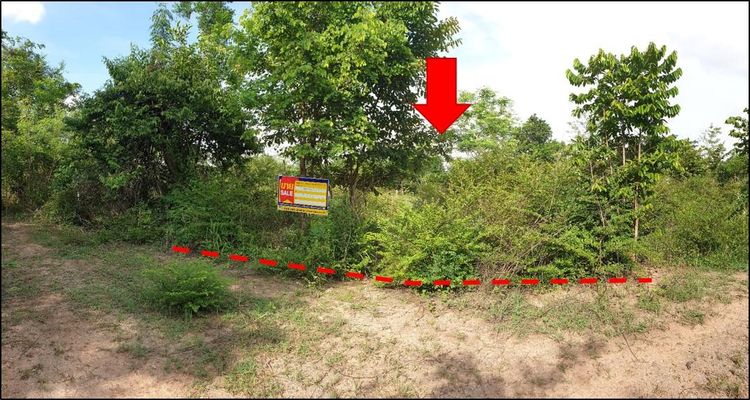 ใช่ 💖 ที่ดิน เมืองขอนแก่น ราคาพิเศษ! 💖