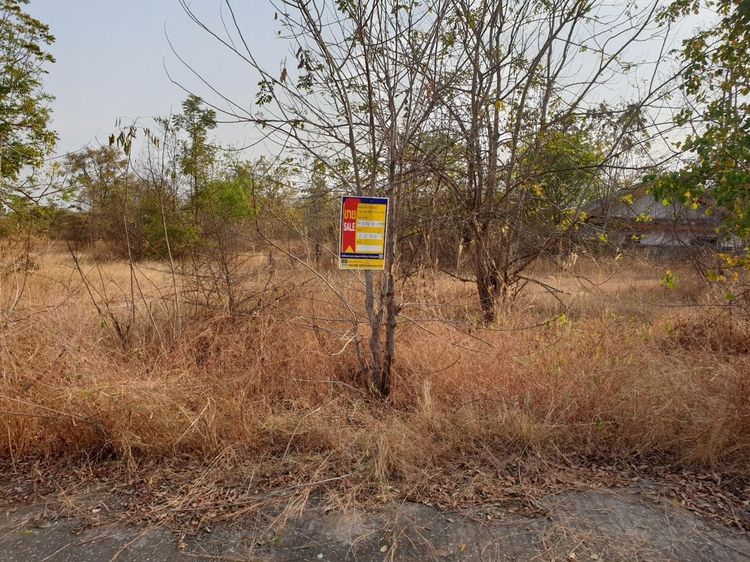 ใช่ 💖 ที่ดิน อุบลรัตน์ ราคาพิเศษ! 💖 รูปที่ 3