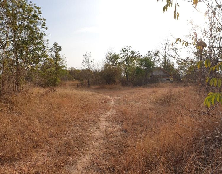 ใช่ 💖 ที่ดิน อุบลรัตน์ ราคาพิเศษ! 💖 รูปที่ 2