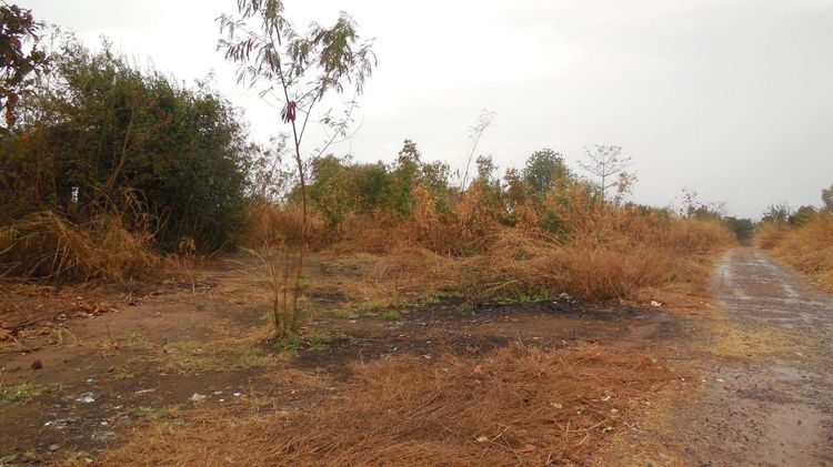 ใช่ 💖 ที่ดิน เขาสวนกวาง ราคาพิเศษ! 💖 รูปที่ 3