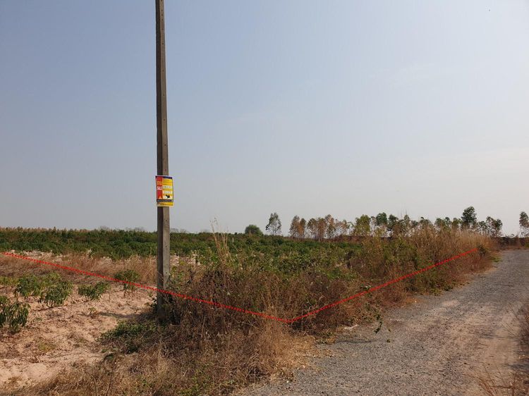 💖 ที่ดิน เขาสวนกวาง ราคาพิเศษ! 💖