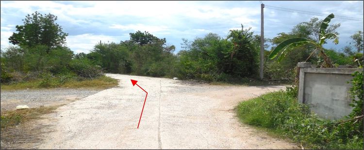 ใช่ 💖 ที่ดิน ชุมแพ ราคาพิเศษ! 💖 รูปที่ 4