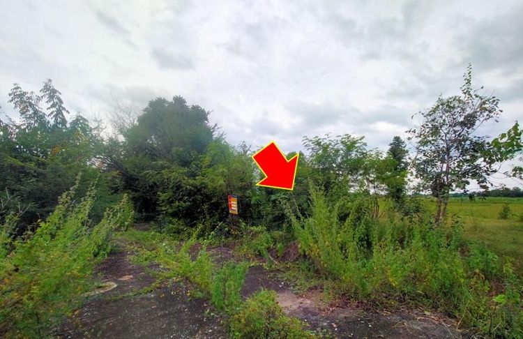 ใช่ 💖 ที่ดิน ชุมแพ ราคาพิเศษ! 💖