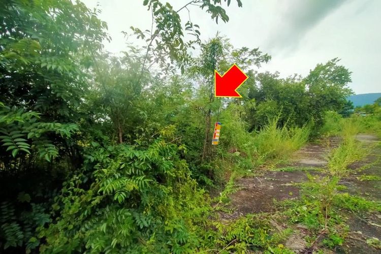 ใช่ 💖 ที่ดิน ชุมแพ ราคาพิเศษ! 💖 รูปที่ 2