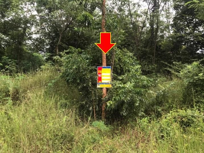 ใช่ 💖 ที่ดิน กิ่งอำเภอโคกโพธิ์ไชย ราคาพิเศษ! 💖 รูปที่ 2